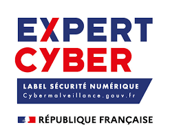 expert_cyber